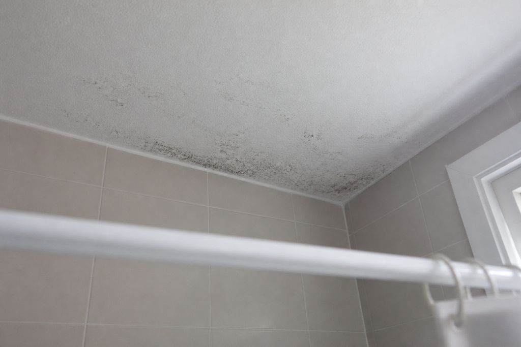 Moisissure noire sur plafond blanc salle de bain