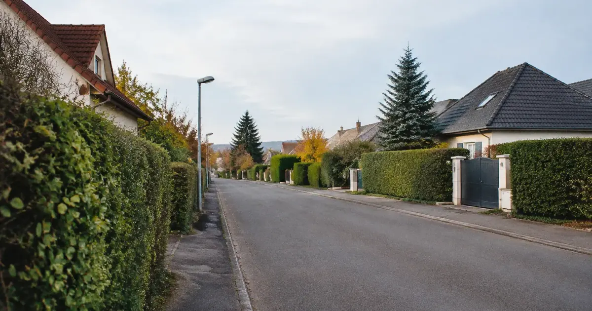 Rue residentielle bordee de haies et pavillons individuels